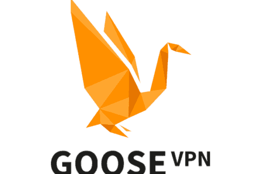 Revisión de Goose VPN: ¿registra su actividad?¿Qué tan rápido es?
