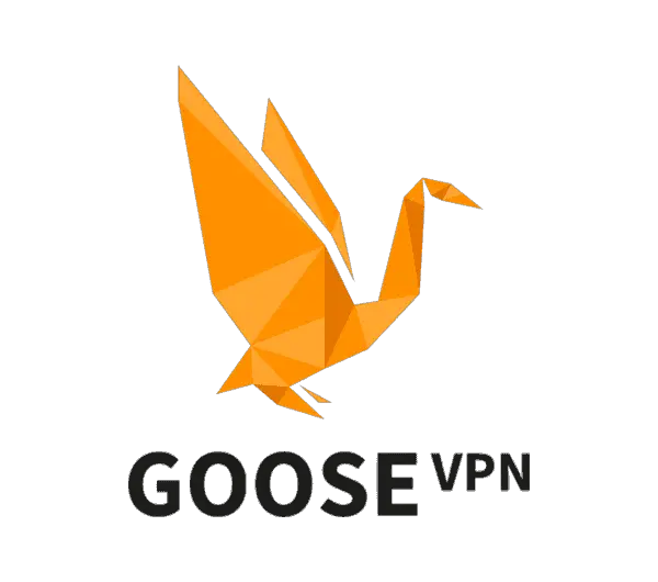 Goose VPN 評價 – 它記錄您的活動嗎？ 有多快？