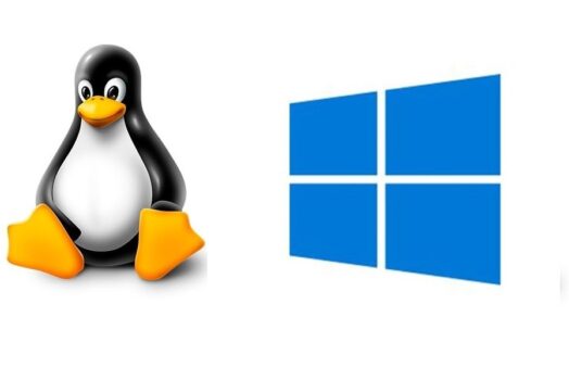 Linux 與 Windows 比較 [與激進操作系統之間的衝突]